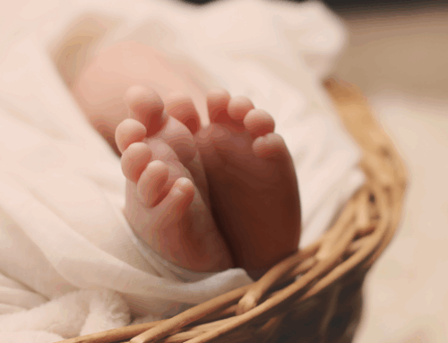 Reborn dolls – (Felipe Zamprogno)